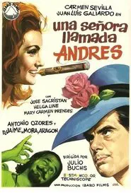 A Lady Called Andrew movie poster