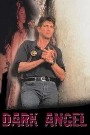 Poster do filme O Vingador