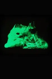 Poster do filme My Favorite Object