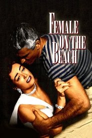 Female on the Beach movie poster