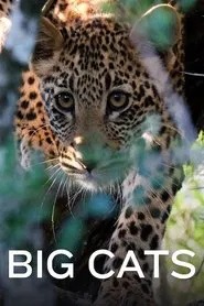 Poster do filme Big Cats