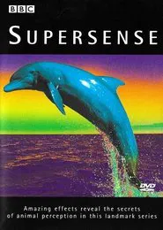 Poster da série Supersense