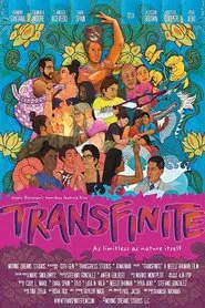 Transfinite movie poster