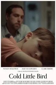 Cold Little Bird movie poster