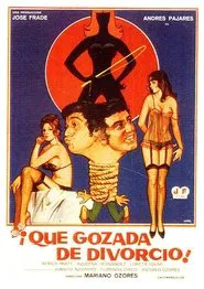 ¡Qué gozada de divorcio! movie poster