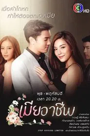 Perfect Wife tv show poster