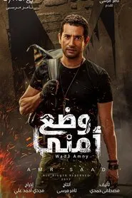 Security Situation tv show poster