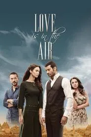 Love Is in the Air tv show poster