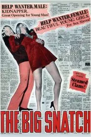 Poster do filme The Big Snatch