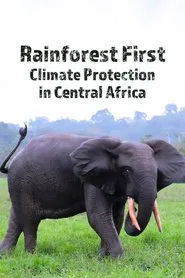 Rainforest First: Climate Protection in Central Africa movie poster