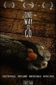 Poster do filme One Way To Go