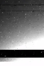 Black Rain movie poster