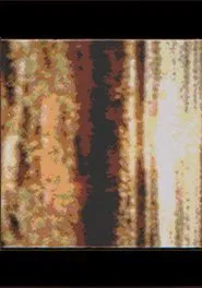 Angels Have No Thought Of Ever Returning You movie poster