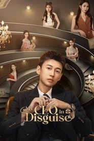 My CEO in Disguise tv show poster