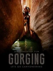 Poster do filme Passagens Estreitas