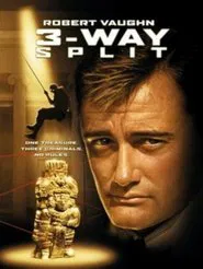 3-Way Split movie poster