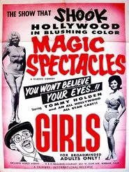 Magic Spectacles movie poster