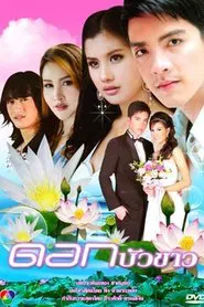 Dok Bua Kao tv show poster