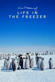 Poster da série Life in the Freezer