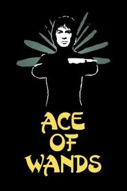 Ace of Wands tv show poster