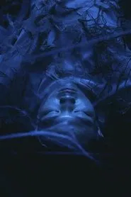 Spinner movie poster