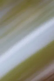 In a Circle Around Me, The Sequence of years movie poster