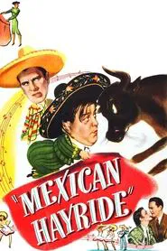 Poster do filme Patuscada
