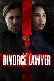 The Divorce Lawyer movie poster