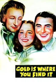 Gold Is Where You Find It movie poster
