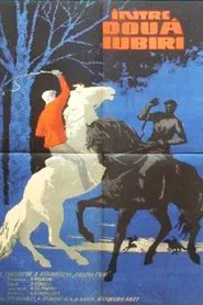 Poster do filme On the Side of Enguri