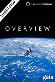 Overview movie poster