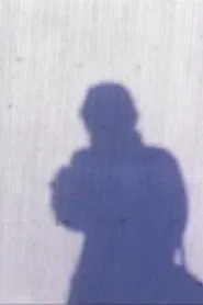 Poster do filme A silhouette