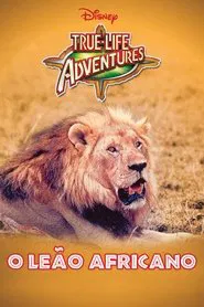 Poster do filme O Leão Africano