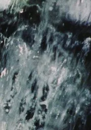 A Rain of Roses (To Rose Lowder) movie poster