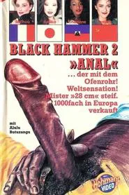 Le Marteau Pilon Anal movie poster