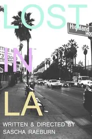 Lost in LA tv show poster
