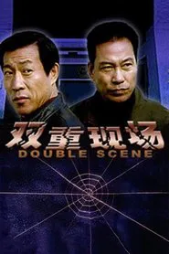 双重现场 movie poster