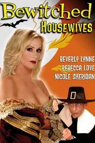 Bewitched Housewives movie poster