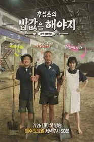 추성훈의 밥값은 해야지 tv show poster