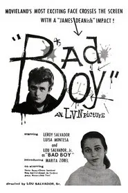 Poster do filme Bad Boy