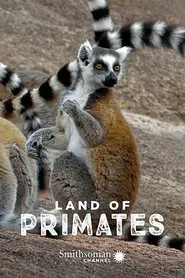 Land of Primates tv show poster