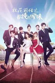 The Visioner tv show poster