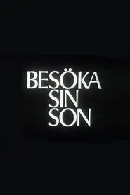 Visiting One's Son movie poster