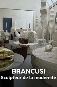 Brancusi : les métamorphoses de la sculpture movie poster