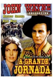 Poster do filme A Grande Jornada