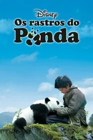 Poster do filme Os Rastros do Panda
