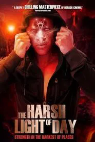 The Harsh Light of Day movie poster