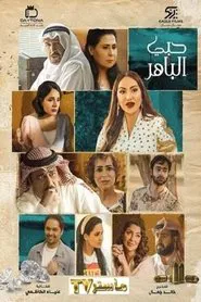 My Brilliant Love tv show poster