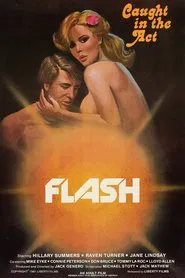 Flash movie poster