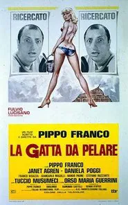 La gatta da pelare movie poster